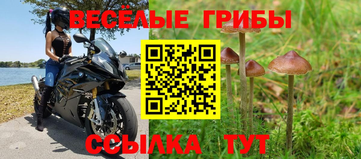 Псилоцибиновые грибы ЛСД Ногинск