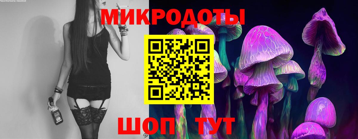сколько стоит  Псилоцибиновые грибы GOLDEN TEACHER  Псилоцибиновые грибы MAGIC MUSHROOMS  Вход с VPN  Ногинск 